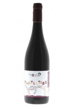 Vin De France Plants A Trois Rocheville Rouge 2024 Bio
